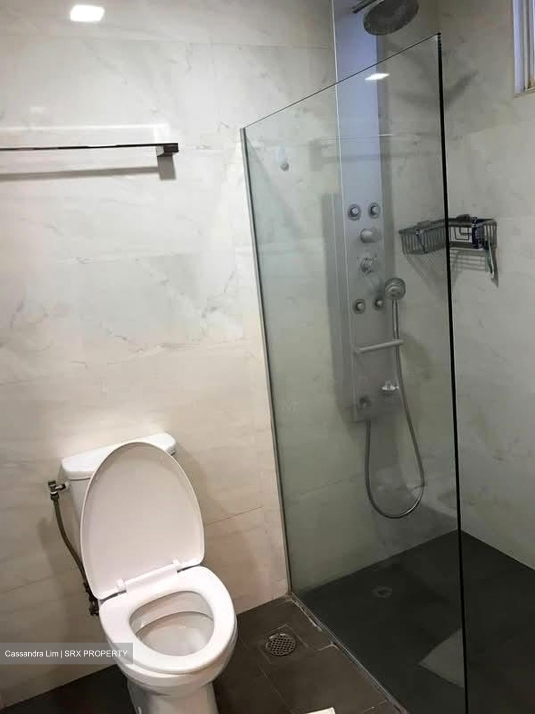 Jervois Lodge (D10), Condominium #566763611